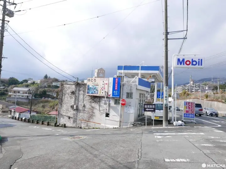 貓奴必去！不只是貓咪咖啡廳的貓咪陪睡日式旅館