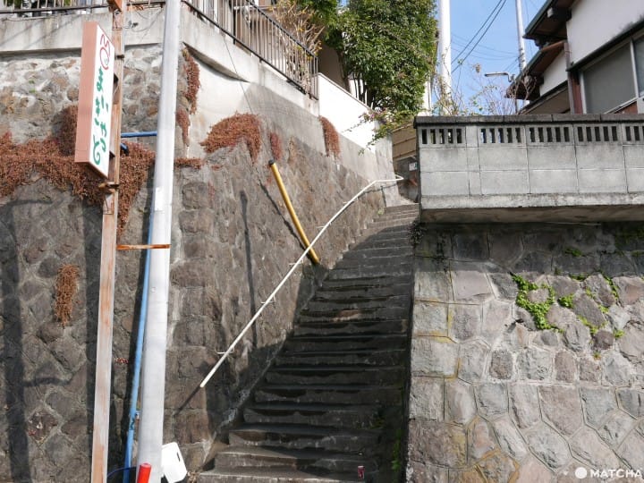 猫奴必去!不只是猫咪咖啡厅的猫咪陪睡日式旅馆