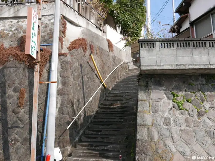 貓奴必去！不只是貓咪咖啡廳的貓咪陪睡日式旅館