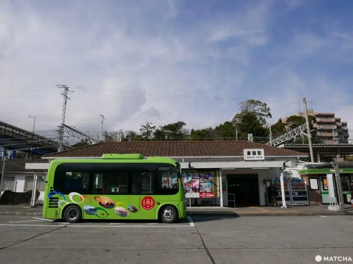 貓奴必去！不只是貓咪咖啡廳的貓咪陪睡日式旅館