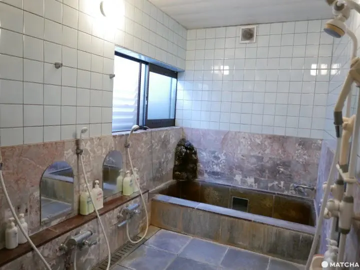 貓奴必去！不只是貓咪咖啡廳的貓咪陪睡日式旅館