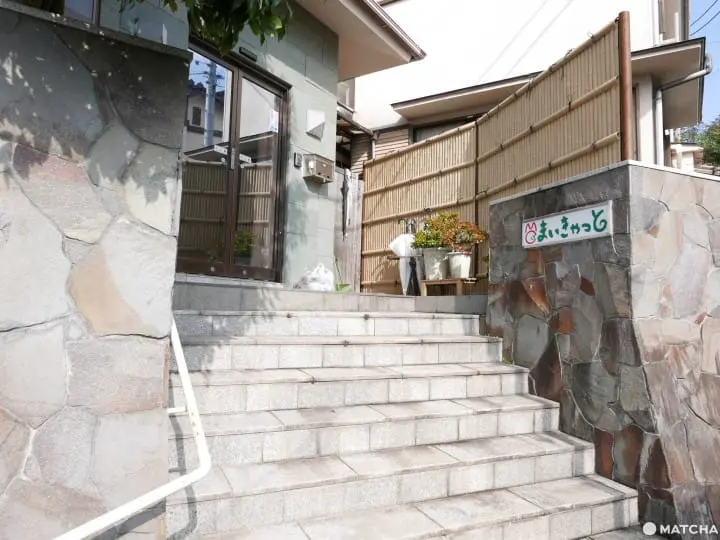 貓奴必去！不只是貓咪咖啡廳的貓咪陪睡日式旅館