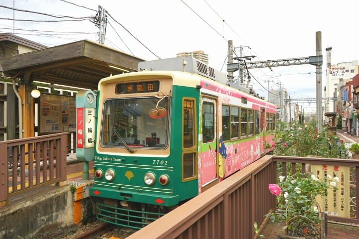 Cherry Blossoms And Sweets! Hop On The TOKYO SAKURA TRAM In Spring