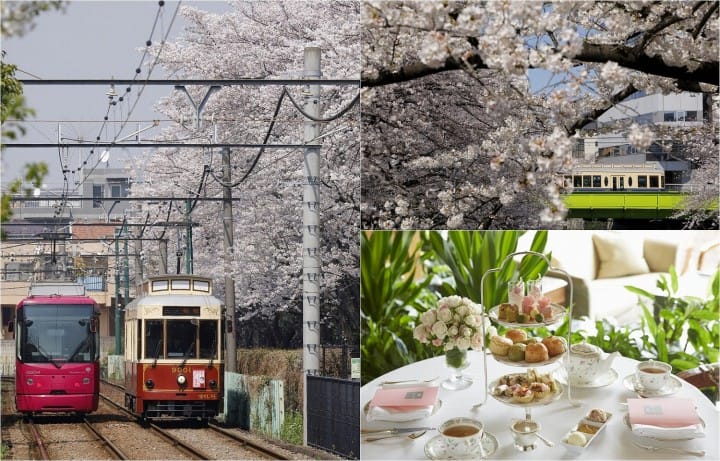 Cherry Blossoms And Sweets! Hop On The Tokyo Sakura Tram In Spring