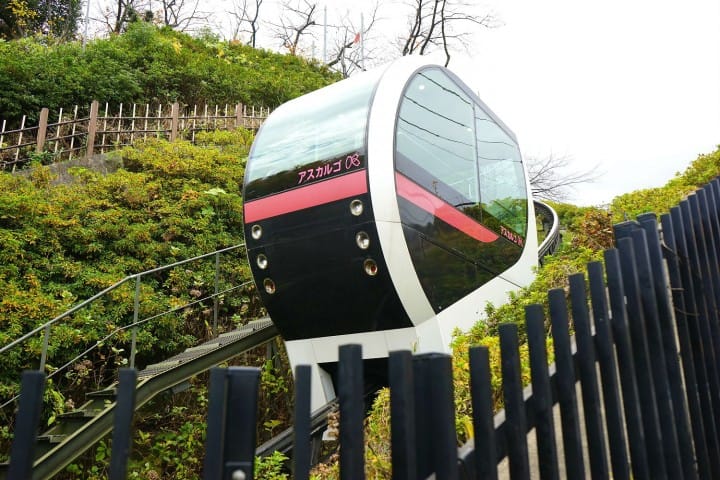 Cherry Blossoms And Sweets! Hop On The TOKYO SAKURA TRAM In Spring