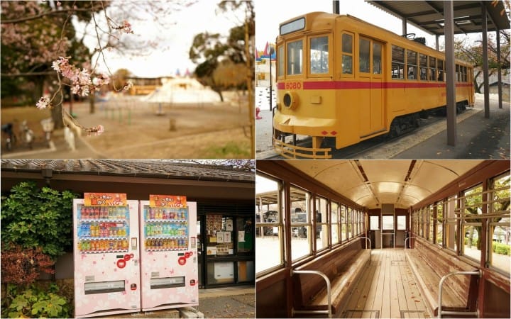 Cherry Blossoms And Sweets! Hop On The TOKYO SAKURA TRAM In Spring
