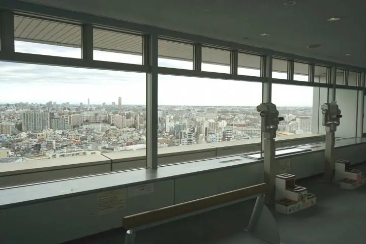 Cherry Blossoms And Sweets! Hop On The TOKYO SAKURA TRAM In Spring