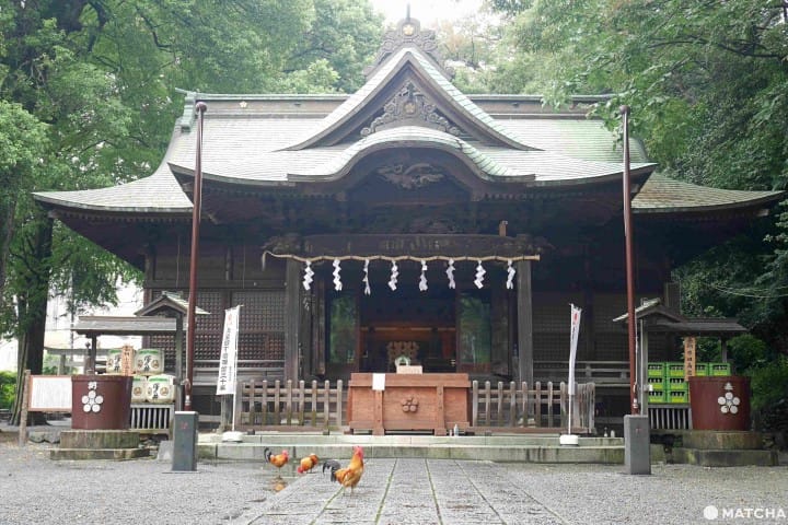 谷保天滿宮