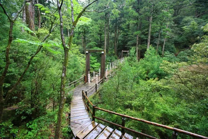 鹿兒島出發 種子島-屋久島 離島避世遊 (二)