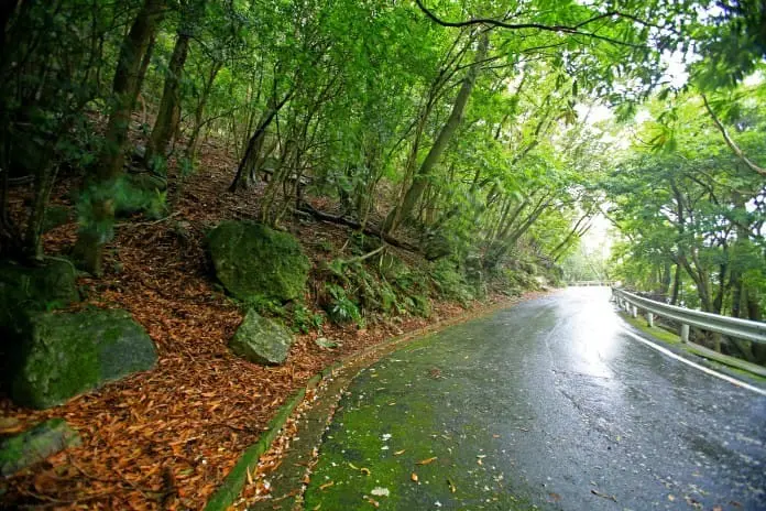 鹿兒島出發 種子島-屋久島 離島避世遊 (二)