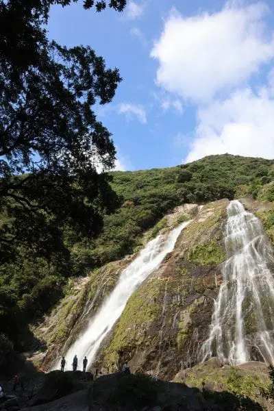 鹿兒島出發 種子島-屋久島 離島避世遊 (二)