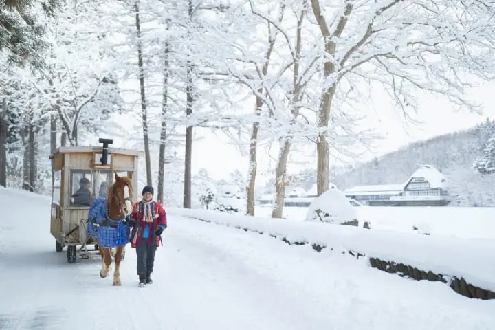 青森の青森屋で祭りの文化を楽しもう！東北へ1泊2日の旅