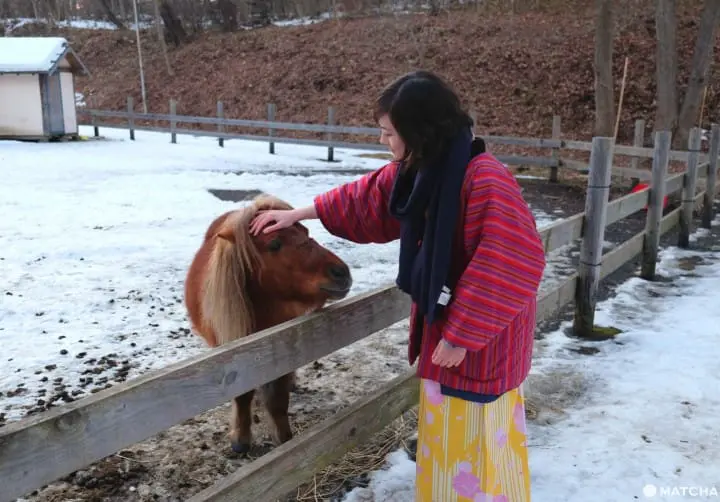 青森の青森屋で祭りの文化を楽しもう！東北へ1泊2日の旅