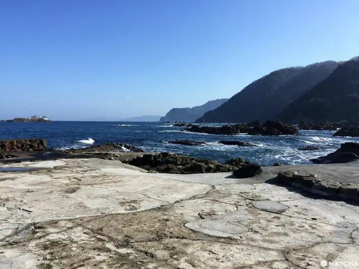 城崎海洋世界颠覆水族馆体验眺日本海摸可爱海豚