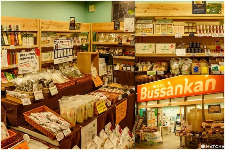 つくばサイエンスツアーバス