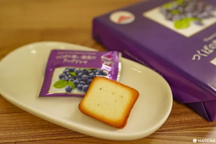 つくばサイエンスツアーバス