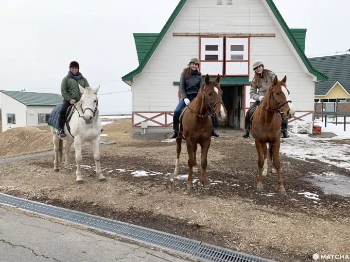 日高・新冠町horoshiri乘馬俱樂部騎馬