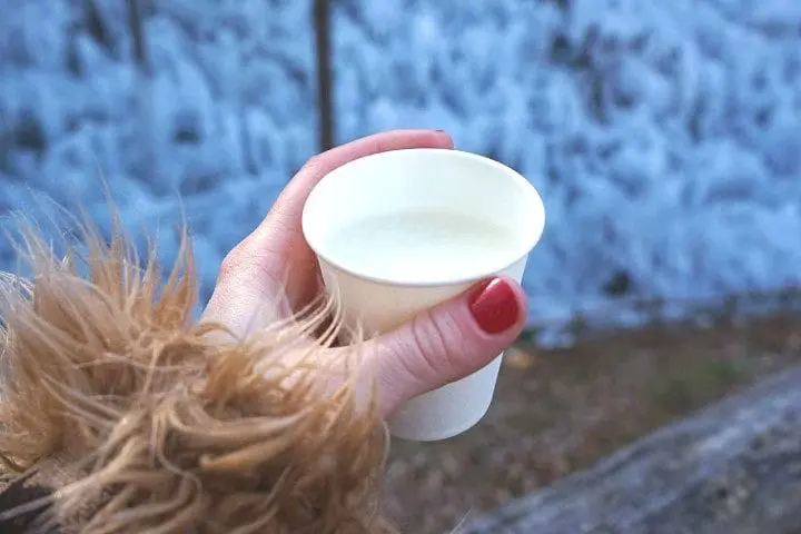 Glistening Icicles, Great Ramen And Time Travel! With SEIBU 1Day Pass