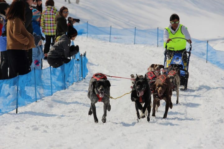 雪季開鑼Are you ready?! 群馬滑雪之旅大搜查 (下)