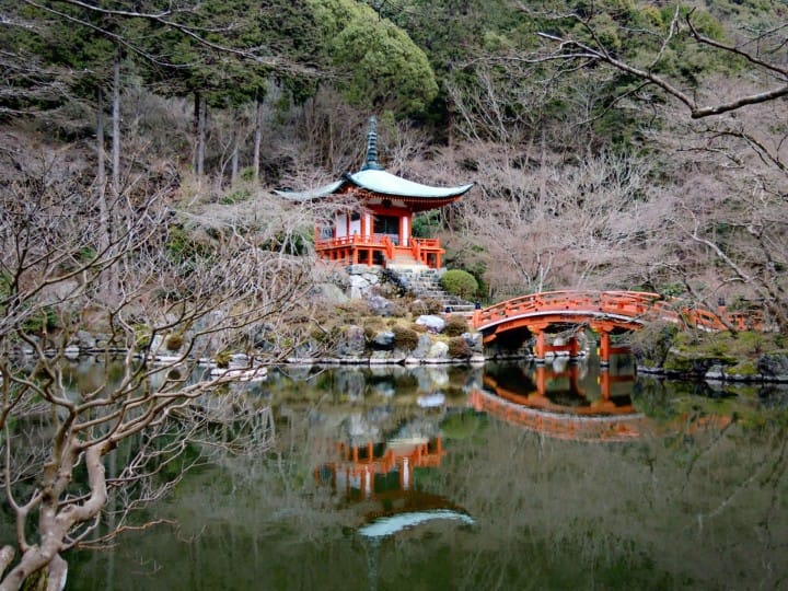 京都の桜を満喫!お花見のベストスポット15と楽しむためのヒント
