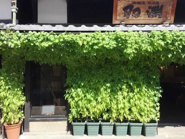 『滋贺』长滨下町街景 百年历史古都风情