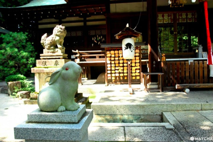 【京都】注意！有可愛動物出沒的京都神社（上）
