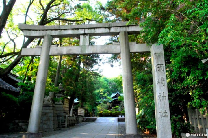 【京都】注意！有可愛動物出沒的京都神社（上）