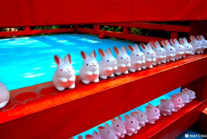 【京都】注意!有可愛動物出沒的京都神社(上)