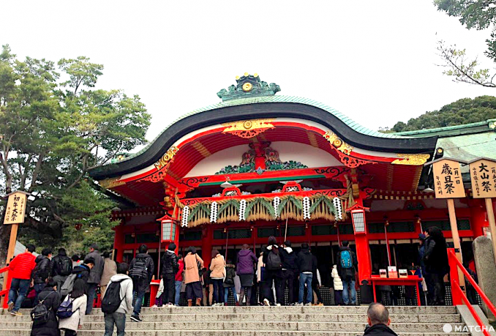 【京都】注意！有可愛動物出沒的京都神社（上）