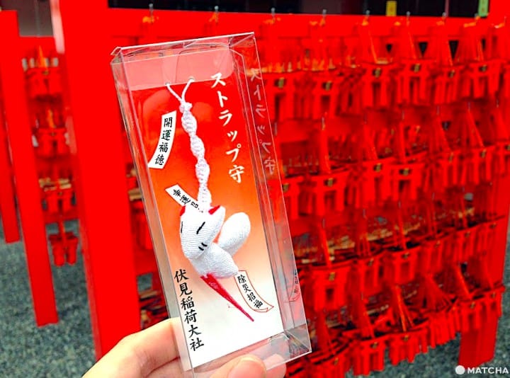 【京都】注意!有可愛動物出沒的京都神社(上)