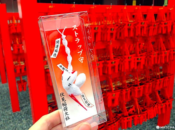 【京都】注意！有可愛動物出沒的京都神社（上）