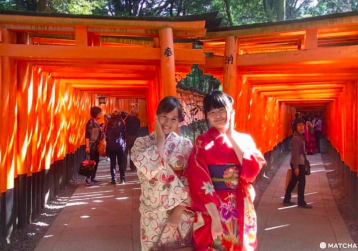 【京都】注意!有可愛動物出沒的京都神社(上)