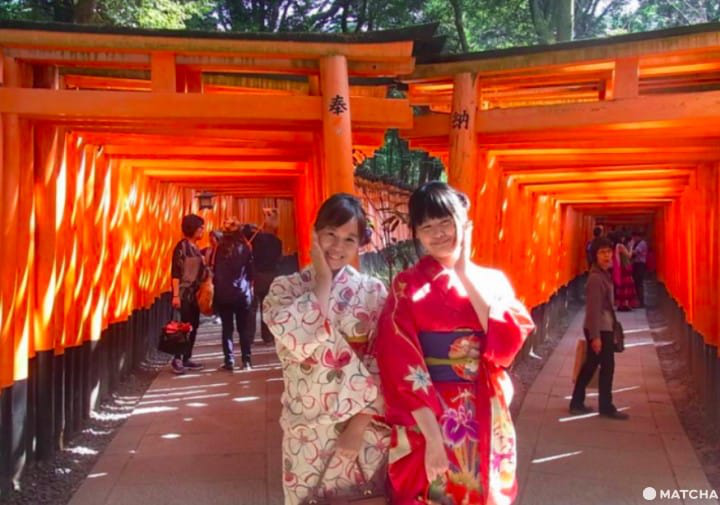 【京都】注意！有可愛動物出沒的京都神社（上）