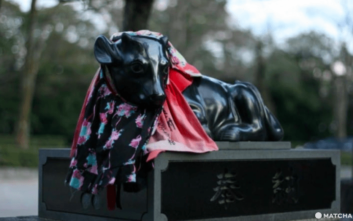 【京都】注意!有可愛動物出沒的京都神社(上)