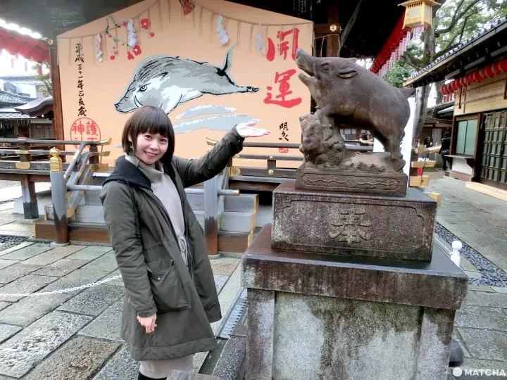 【京都】注意！有可愛動物出沒的京都神社（上）