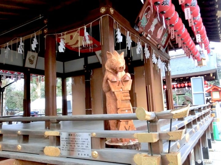 【京都】注意!有可愛動物出沒的京都神社(上)
