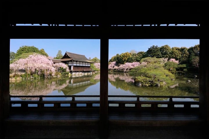 15 Best Cherry Blossom Viewing Spots In Kyoto!