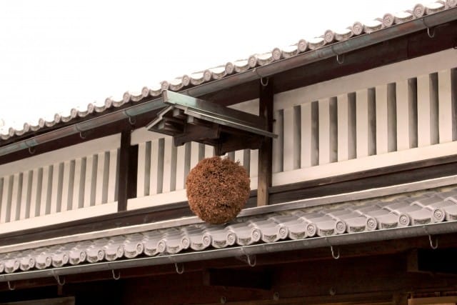Fushimi; So Much More Than The Famous Gates