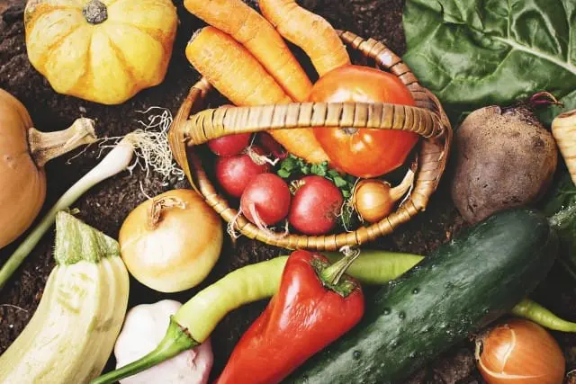 Kameoka In Kyoto- Tranquility Through Tradition And Meditation