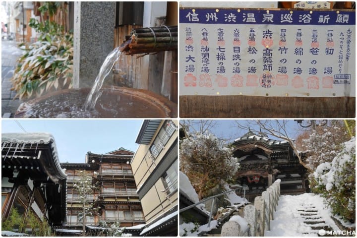 長野澀溫泉地獄谷