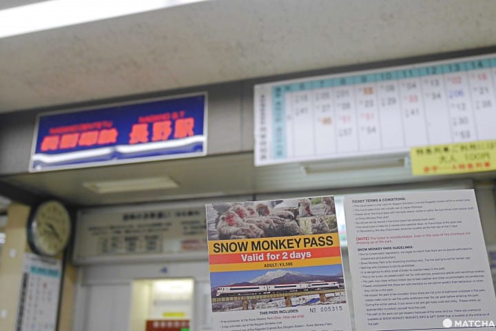 Snow Monkey Pass