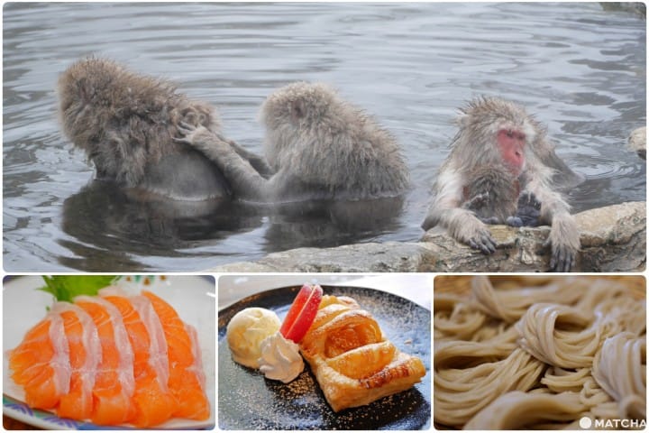 【長野】來「地獄谷野猴公苑」看猴子爽爽泡湯不忘犒賞自己的完美行程