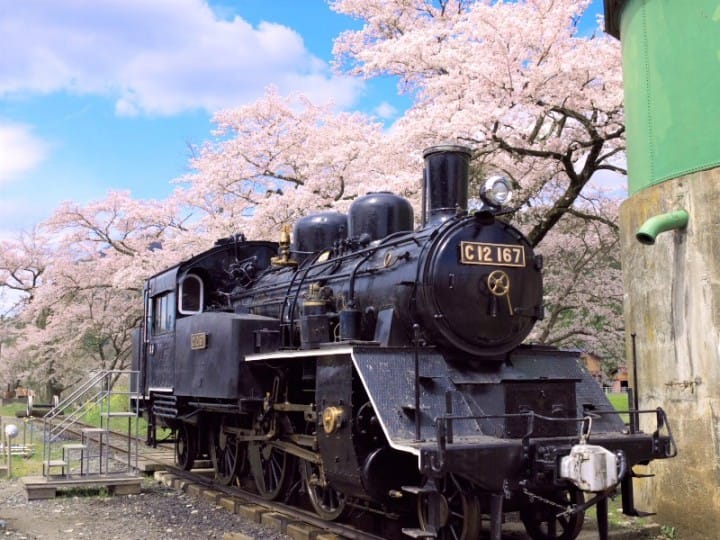 残雪の大山を背景に桜を見よう!鳥取の幻想的な桜スポット8選