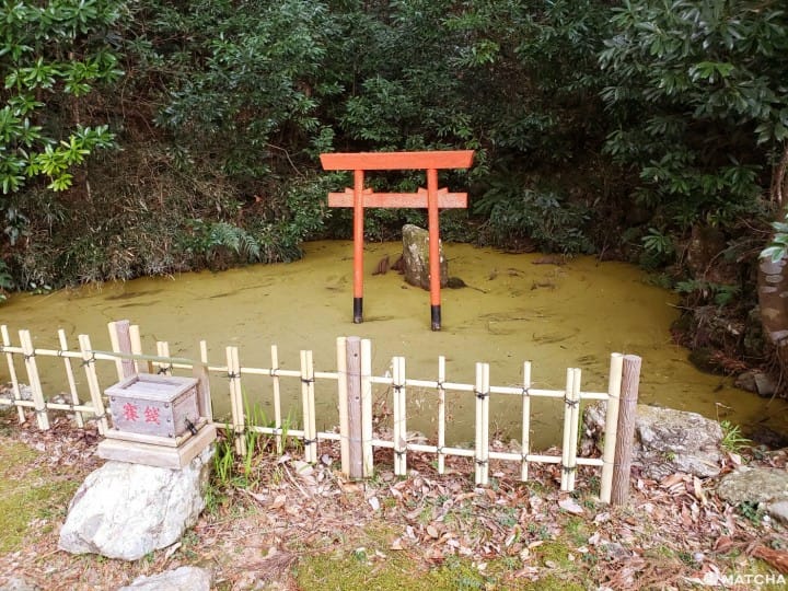 【三重 志摩】神祇多到記不得的磯部神社
