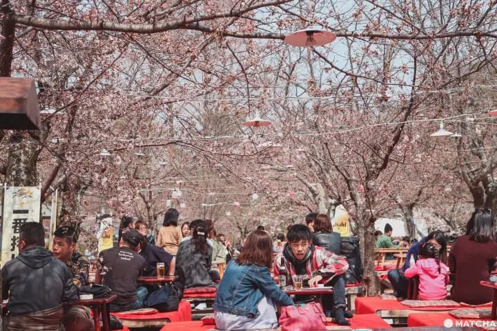 【京都】八坂神社半天女子散步提案