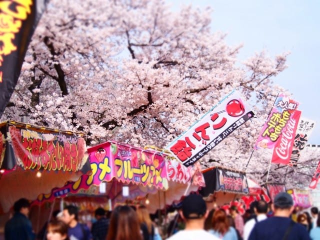 HANAMI : Festival de SAKE y SAKURA 2019