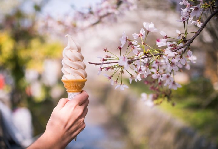 Sakura : Feria de Sake 2019