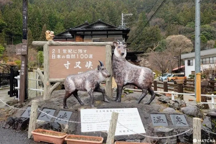 豊かな自然と温泉に恵まれた寸又温泉峡