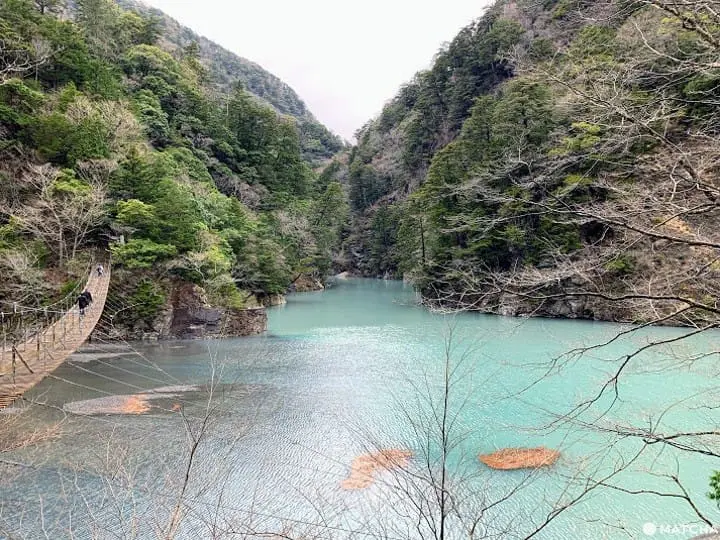 豊かな自然と温泉に恵まれた寸又温泉峡