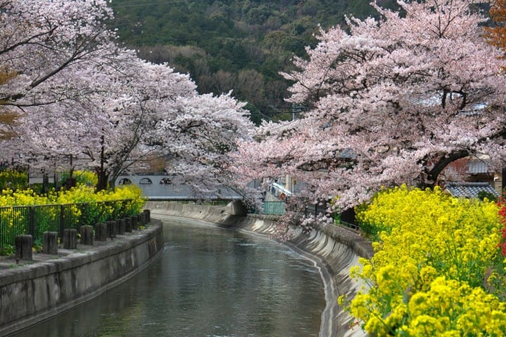 山科疏水